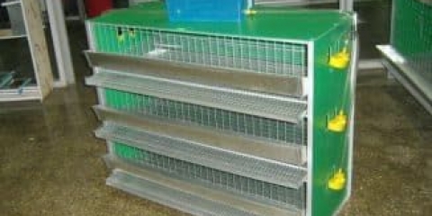 Kako napraviti kavez za prepelice vlastitim rukama - dimenzije